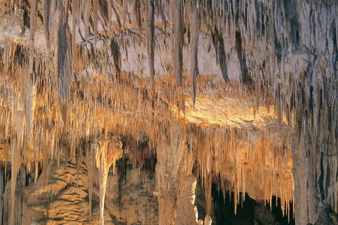 Margaret River, Caves, Wine And Cape Leeuwin Lighthouse Tour From Perth - Foster Accommodation 3