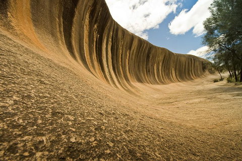 2-Day Wave Rock, York, Wildflowers & Aboriginal Experience - Foster Accommodation 1