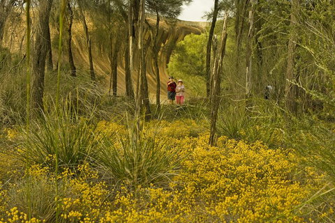 2-Day Wave Rock, York, Wildflowers & Aboriginal Experience - Foster Accommodation 2