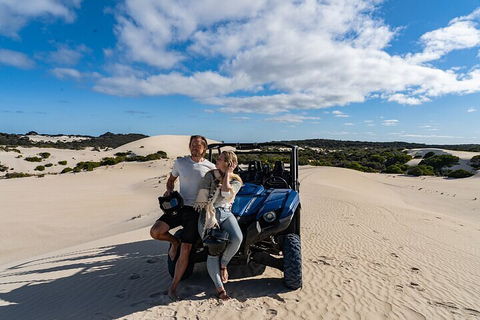 Small-Group Buggy Tour At Little Sahara With Guide - Foster Accommodation 2