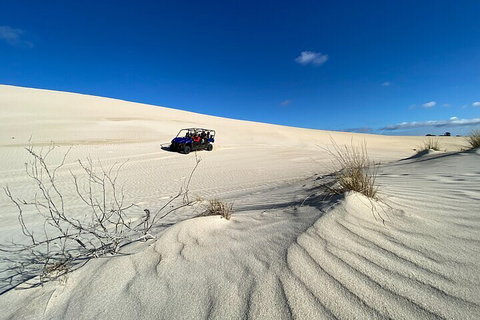 Small-Group Buggy Tour At Little Sahara With Guide - Foster Accommodation 3