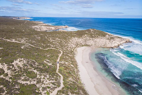 Small-Group Buggy Tour At Little Sahara With Guide - Foster Accommodation 4