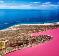 Pink Lake Small-Group Buggy Tour - Foster Accommodation