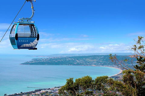 Peninsula Hot Springs Tour With Restaurant Lunch & Gondola Ride - Foster Accommodation 1