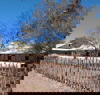 Private Cultural and Historical Painted Desert Tour in Hermannsburg - Foster Accommodation