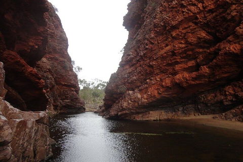 West MacDonnell Ranges Half - Day Tour - Foster Accommodation 4