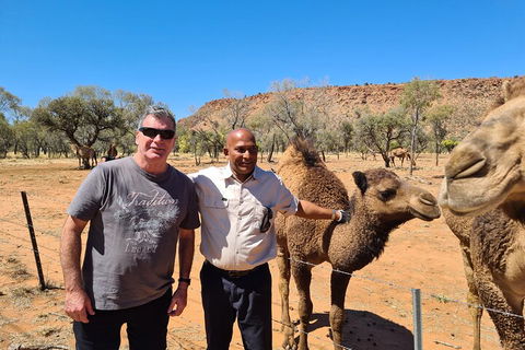 West MacDonnell Ranges Half-Day Small-Group Tour With Camel Ride - Foster Accommodation 1