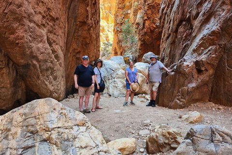 West MacDonnell Ranges Half-Day Small-Group Tour With Camel Ride - Foster Accommodation 4