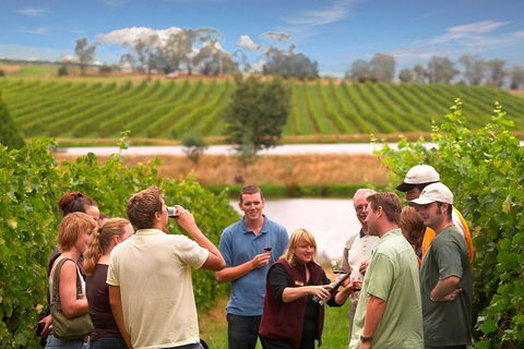 Yarra Valley Wine And Winery Tour From Melbourne - Foster Accommodation 0