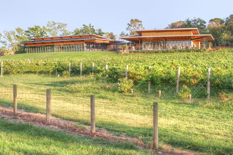 Yarra Valley Wine And Winery Tour From Melbourne - Foster Accommodation 1