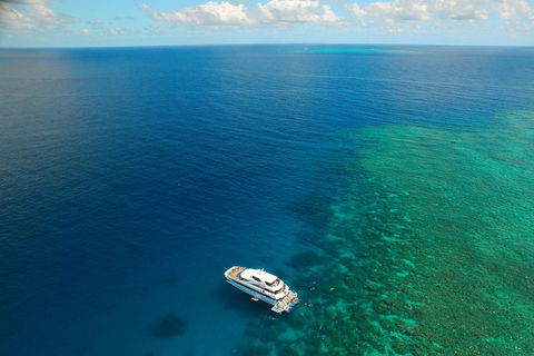 Great Barrier Reef Snorkeling And Diving Cruise From Cairns - Foster Accommodation 4