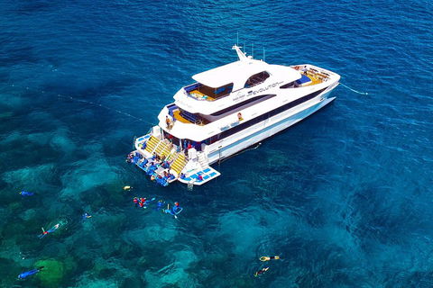 Great Barrier Reef Snorkeling And Diving Cruise From Cairns - Foster Accommodation 5