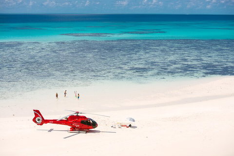 Private Helicopter Tour: Reef Island Snorkeling And Gourmet Picnic Lunch - Foster Accommodation 2
