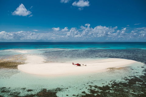 Private Helicopter Tour: Reef Island Snorkeling And Gourmet Picnic Lunch - Foster Accommodation 4