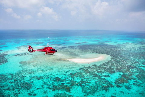 Private Helicopter Tour: Reef Island Snorkeling And Gourmet Picnic Lunch - Foster Accommodation 5