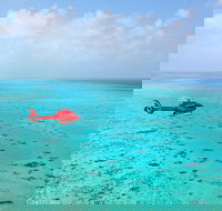 Port Douglas Scenic Flights - Foster Accommodation