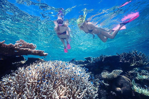 Cruise Out And Cruise Return, Plus 10 Minute Scenic Flight - Foster Accommodation 5