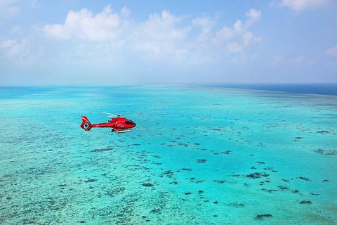 Great Barrier Reef 30-Minute Scenic Helicopter Tour From Cairns - Foster Accommodation 2