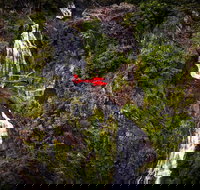 Ultimate Great Barrier Reef and Rainforest 45-minute Helicopter Tour - Foster Accommodation