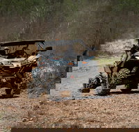 Octopussy 1.5 hour off-road tour in Darwin 1 person in 2 seater - Foster Accommodation