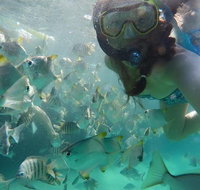 2-Day Moreton Island 4WD Camping Tour from Brisbane - Foster Accommodation