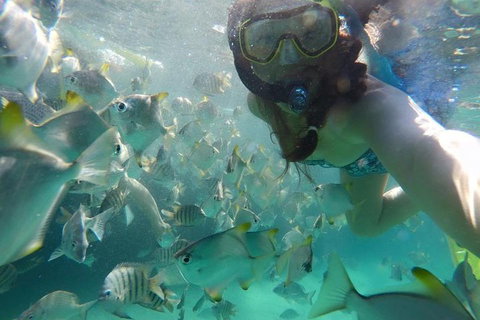 2-Day Moreton Island 4WD Camping Tour From Brisbane - Foster Accommodation 0