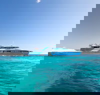 Fremantle to Rottnest Island Roundtrip Ferry Ticket - Foster Accommodation