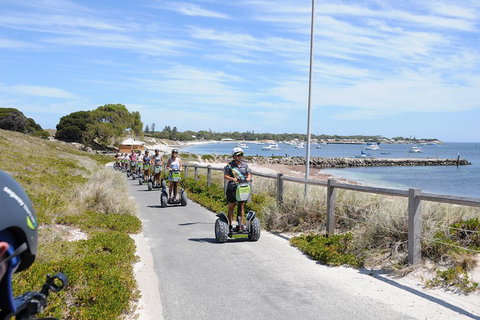 Rottnest Island Fortress Adventure Segway Package From Fremantle - Foster Accommodation 3