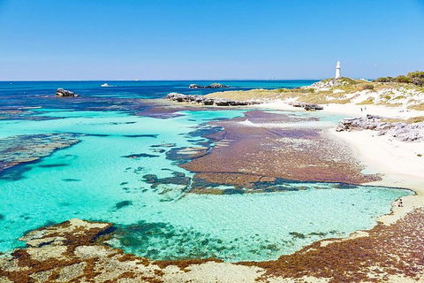 Perth To Rottnest Island Roundtrip Ferry Ticket - Foster Accommodation 2