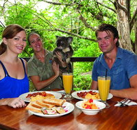Breakfast with the Koalas at Hartley's Crocodile Park from Cairns or Palm Cove - Foster Accommodation