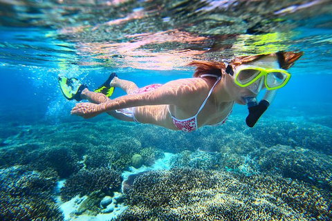 Abrolhos Islands Scenic Flight & Snorkel Adventure From Perth - Foster Accommodation 1