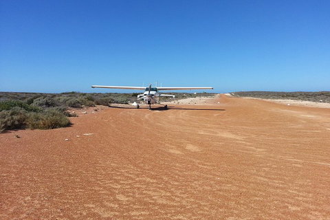 Abrolhos Islands Scenic Flight & Snorkel Adventure From Perth - Foster Accommodation 3