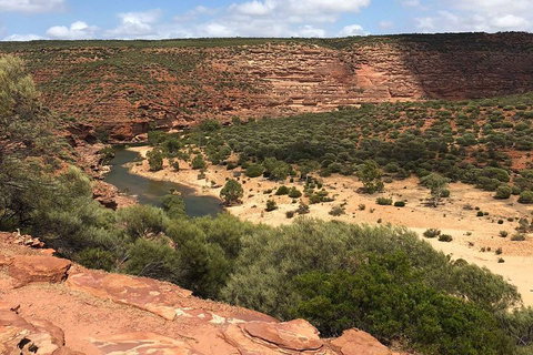 Kalbarri Gorges & West Coast - Ground & Air Tour - Foster Accommodation 3