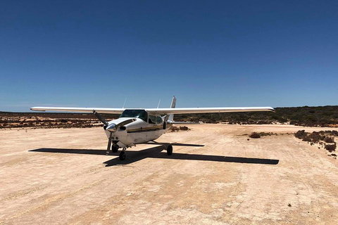 Kalbarri Gorges & West Coast - Ground & Air Tour - Foster Accommodation 4