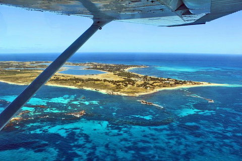 Wave Rock & Rottnest Island - Air & Ground Tour - Foster Accommodation 1