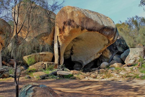 Wave Rock & Rottnest Island - Air & Ground Tour - Foster Accommodation 4