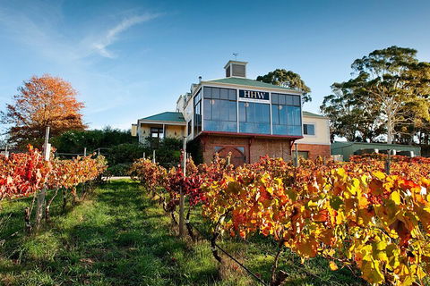 Adelaide Hills Food, Wine, Cheese, & Chocolate - Private Day Tour - Foster Accommodation 3