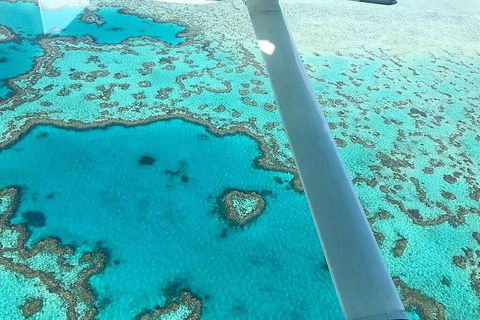 Whitsunday Islands 1-Hour Reef Scenic Helicopter Tour - Foster Accommodation 3