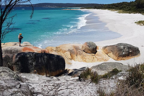 2-Day Tas East Coast Escape Tour Including Bay Of Fires, Wineglass Bay & Devils - Foster Accommodation 4