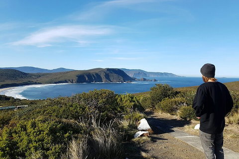 4-Day Fabulous Tasmania Tour: Wineglass Bay, Port Arthur, Devils & Bruny Island - Foster Accommodation 0