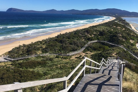 4-Day Fabulous Tasmania Tour: Wineglass Bay, Port Arthur, Devils & Bruny Island - Foster Accommodation 5