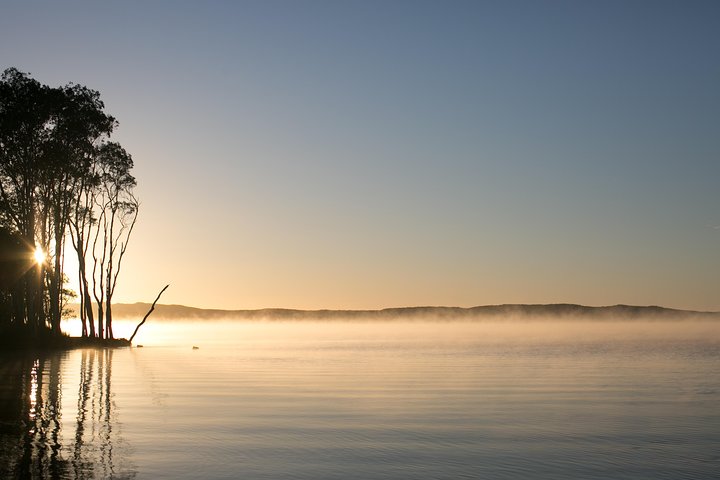  Foster Accommodation