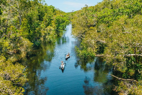Cruise 'n' Canoe To Australia's Everglades - Foster Accommodation 3