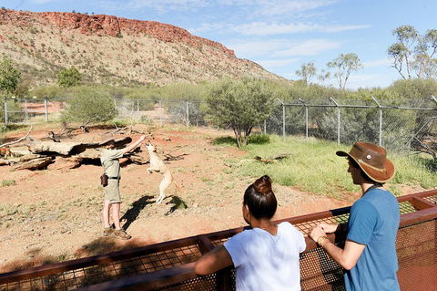 Alice Springs Desert Park General Entry Ticket - Foster Accommodation 4