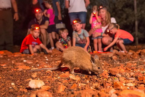 Alice Springs Desert Park Nocturnal Tour - Foster Accommodation 1