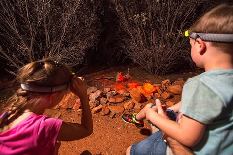 Alice Springs Desert Park Nocturnal Tour - Foster Accommodation 4