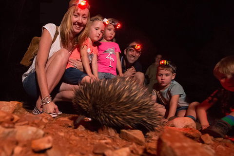 Alice Springs Desert Park Nocturnal Tour - Foster Accommodation 5