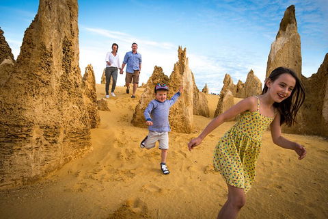 Full-Day Pinnacles Desert And Yanchep National Park Tour From Perth - Foster Accommodation 0