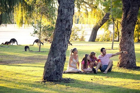 Full-Day Pinnacles Desert And Yanchep National Park Tour From Perth - Foster Accommodation 3