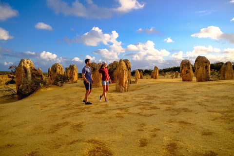 Full-Day Pinnacles Desert And Yanchep National Park Tour From Perth - Foster Accommodation 4